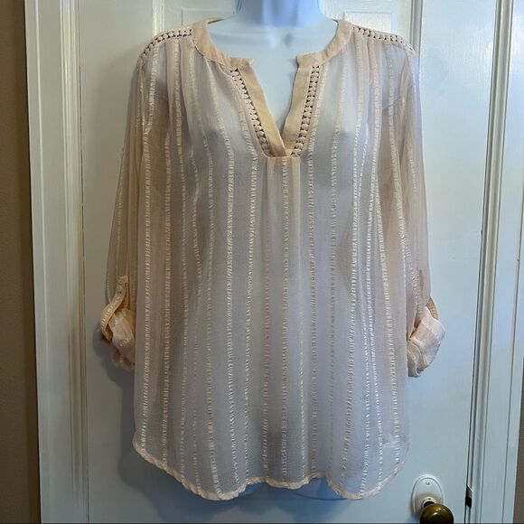 Chelsea & Theodore Tops - Chelsea & Theodore pink sheer blouse